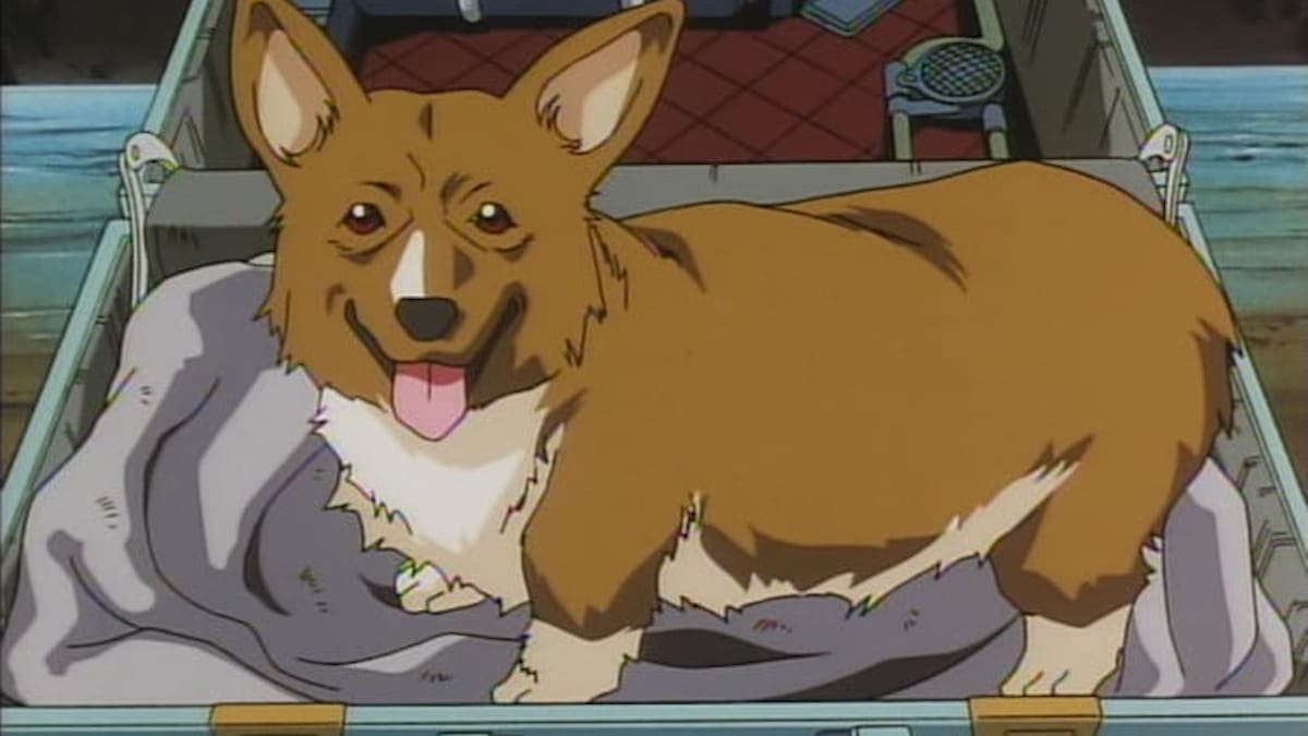 Ein