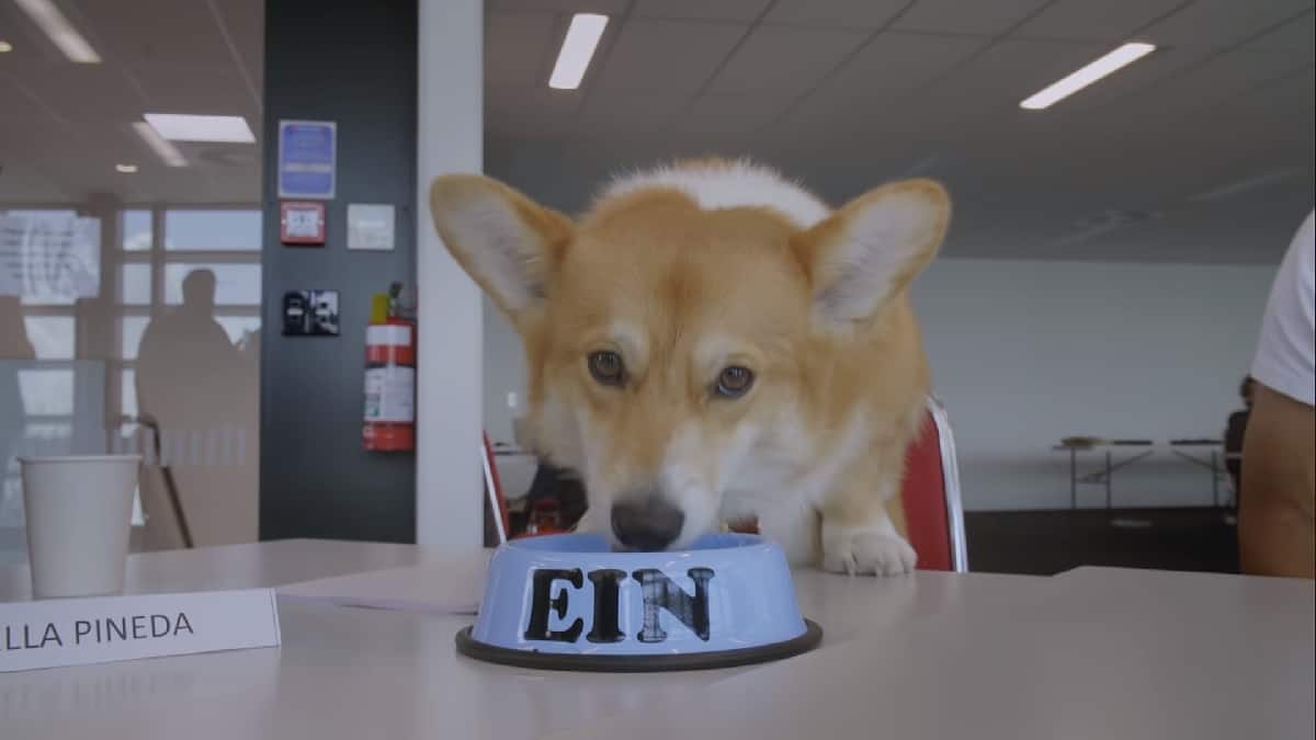 Ein in the Netflix's Cowboy Bebop