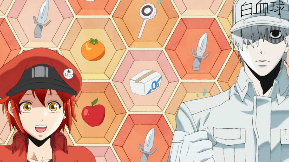 Shoutout to the B cells keeping us healthy ⛑️ (via Cells At Work! Season 2)