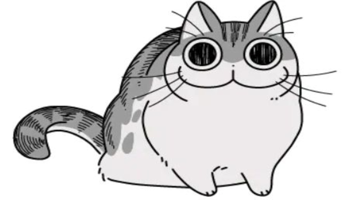 Nights with a Cat's Kyuruga